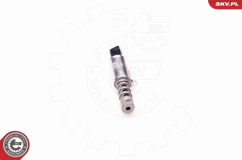 Control Valve, camshaft adjustment
